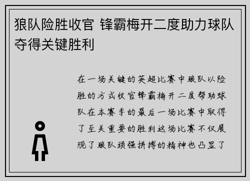 狼队险胜收官 锋霸梅开二度助力球队夺得关键胜利