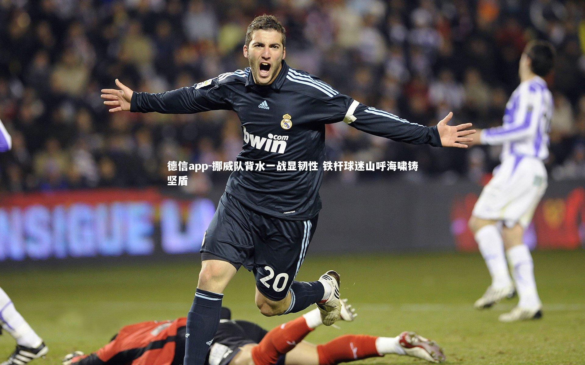 德信app-挪威队背水一战显韧性 铁杆球迷山呼海啸铸坚盾-第2张图片-德信app 德信app-挪威队背水一战显韧性 铁杆球迷山呼海啸铸坚盾-第2张图片-德信app